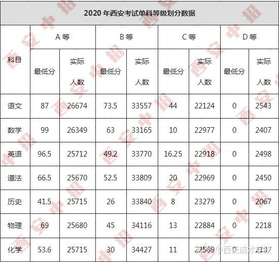 最新中考成绩单，努力与成就的辉煌交汇点