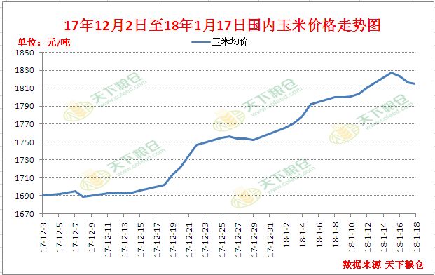 玉米最新价格走势解析与预测