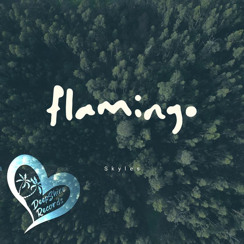 Flamingo下载，探索与体验之旅