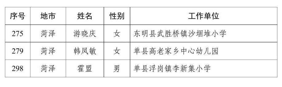 莘县教师编最新信息全面解析