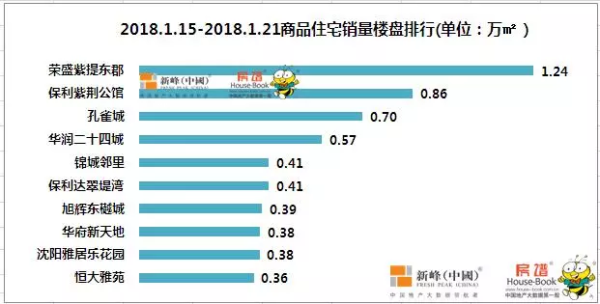 决盛信贷下载，便捷金融服务的新选择体验报告