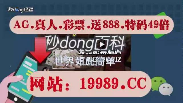 澳门六开奖结果2024开奖记录今晚直播,详细解读解释定义_投资版66.32