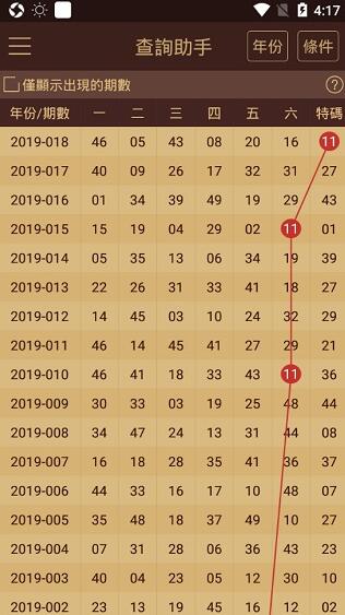 2024澳门天天开好彩大全正版,未来展望解析说明_S32.239